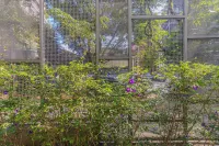 Hub Vila Madalena - Studios Por Temporada Hotels in Sumarezinho