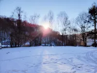 Pickles Place<br>Cabin located at trailhead of Hatfield and Mccoy/outlaw trails