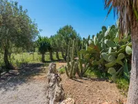 Can Rafalino - Villa With Private Pool In Inca - Hot Tub