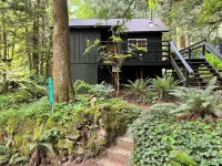Cozy Cabin near Mt Hood with Hot Tub