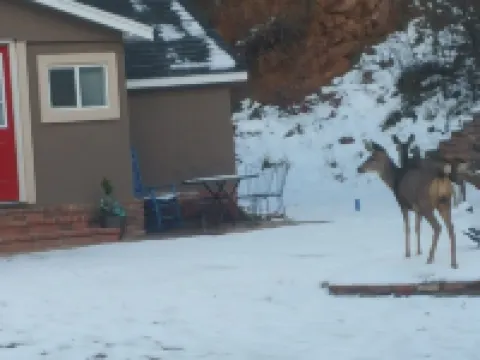The cozy summer house by the lake Hotels in Green Mountain Falls