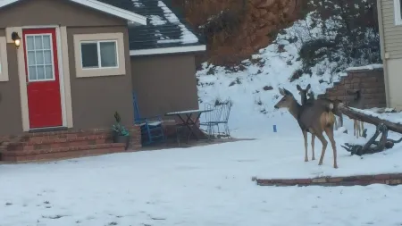 The cozy summer house by the lake
