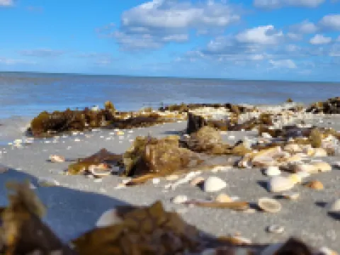 Tranquil Farm Annex - By Traum Ferienwohnungen