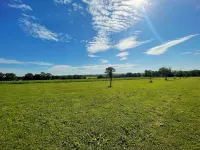 "La Petite Félixière" à 25 Min du Puy du Foù, 10 Min de Cholet, et 35 Min de Nantes
