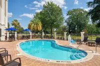 Holiday Inn Express STATESBORO by IHG - Pools