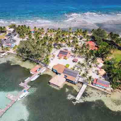 Blue Marlin Beach Resort Hotel Exterior