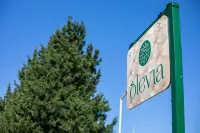 Olevia Comfort