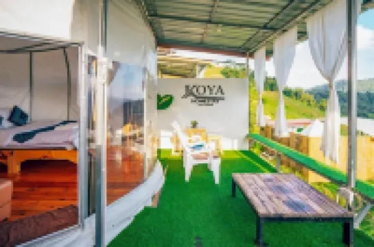Koya Homestay