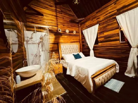 Arrecife ecocabañas palomino Hotels in 