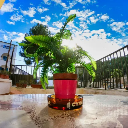 Bon Aire Apartamentos