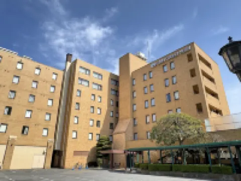 Ohta Grand Hotel Hotels in Ota