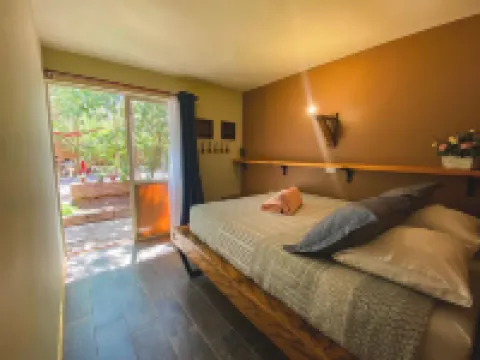 Vientos - la Yareta
