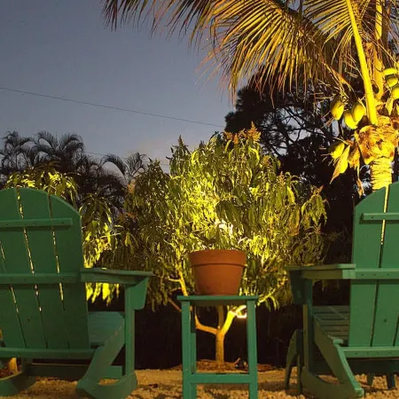 Tropical Mango Grove Stay Whiskey Creek Area