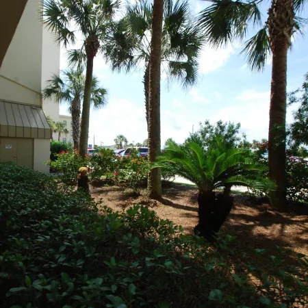 Island Shores