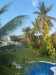 Casa Coral
