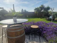 Ibis Pau Lescar