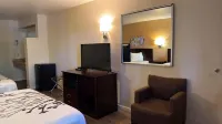 Econo Lodge Inn & Suites Montrose - Black Canyon Area - 2-Star
