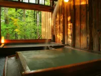 Shibu Tatsunokan - Hot Springs
