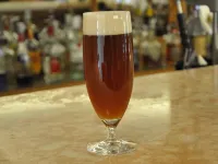 Kamakura Park Hotel - bar