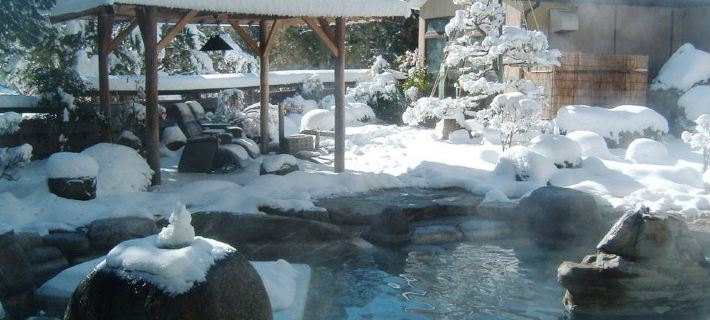 Chausuyama Onsen Mori No Yado Yuuseikan Hotels in Shimoina District