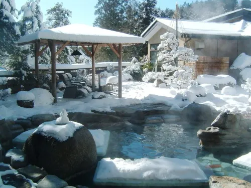 Chausuyama Onsen Mori No Yado Yuuseikan - 溫泉