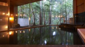 Forest Resort Yamanote Hotel
