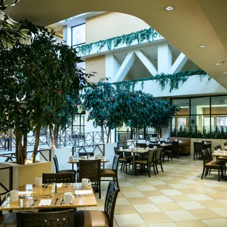 Hilton Stockton