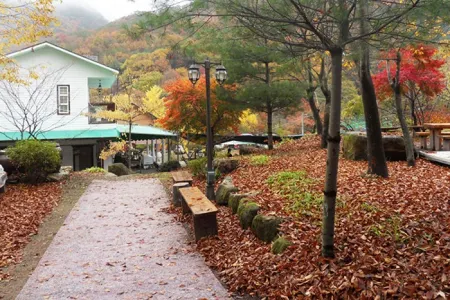 Jecheon Hansol Pension Отели рядом с достопримечательностью «Woraksan»