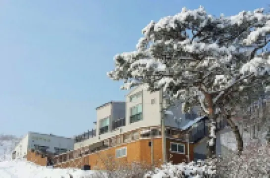 Modern Vill Pension Hotels near Ocean 700