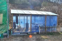 Wonju Oak Alley Pension