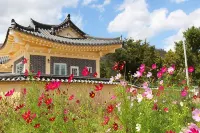 경주 둥지가족펜션 (Gyeongju Family Pension) 경주역 주변 호텔