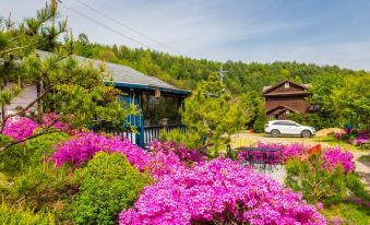 Pyeongchang Zermatt Pension (Family, Couple)