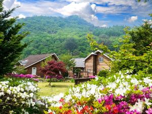 Pyeongchang River Terrace Pension