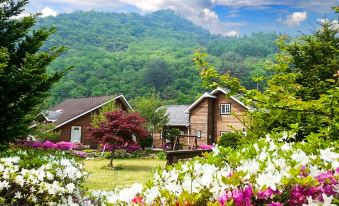 Pyeongchang River Terrace Pension