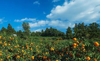 Seogwipo Jay Farm Pension