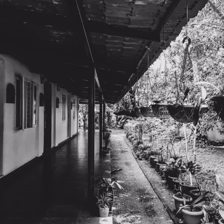 Palm Grove Service Villa