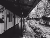 Palm Grove Service Villa