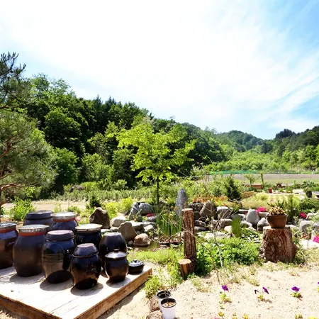 Gangneung Ijibiya Pension Отели рядом с достопримечательностью «Фантазийный музей чашек»