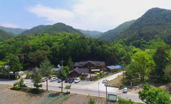 Wonju Chiak Mountain Club Pension