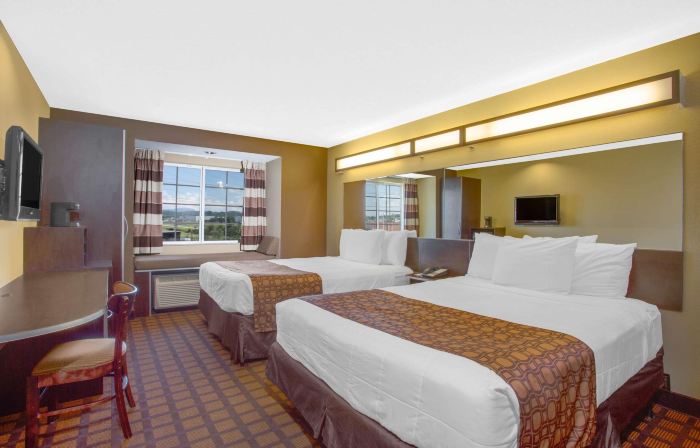 Microtel Inn & Suites by Wyndham Harrisonburg