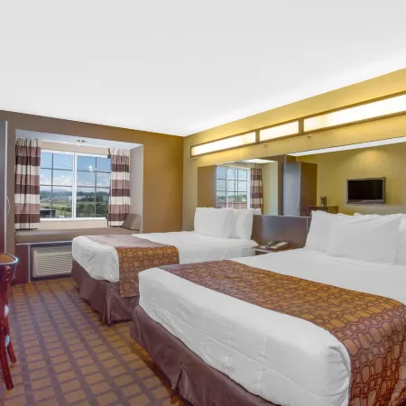 Microtel Inn & Suites by Wyndham Harrisonburg