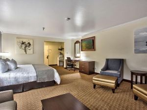 Best Western Mountain View Inn