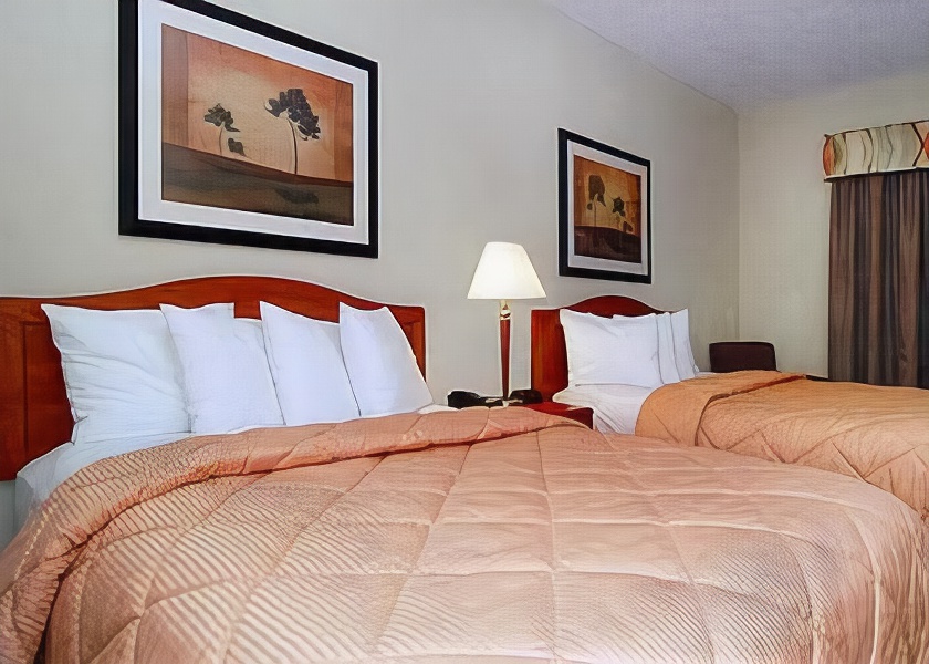 Comfort Inn Dfw Airport North