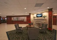 Wyndham Houston Hobby Airport - Bintang 3