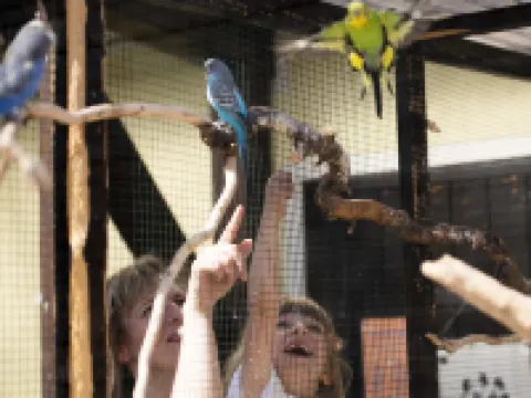 Hotel-Pension Keller ノルドサクセンのホテル