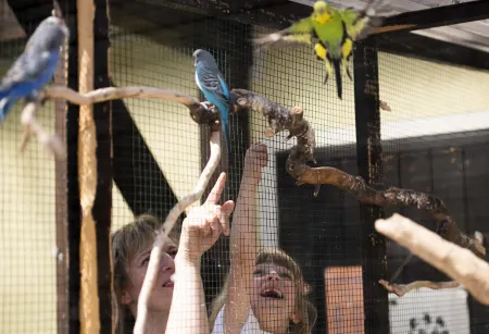 Hotel-Pension Keller Отели в г. Бад-Дюбен