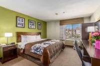 Rodeway Inn Airport Hotels in 