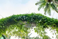 Misty Hills Resort