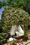 Alberi Del Paradiso - Hot Tub