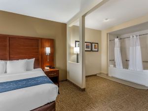 Comfort Suites at Rivergate Mall